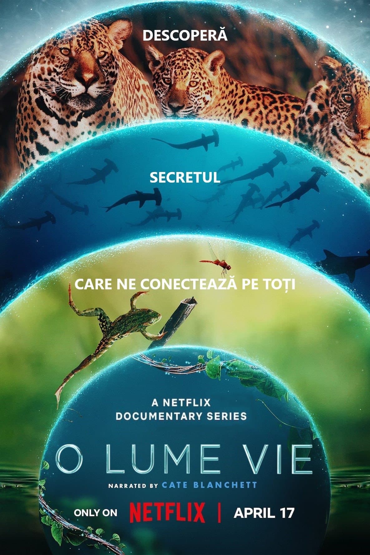 O lume vie