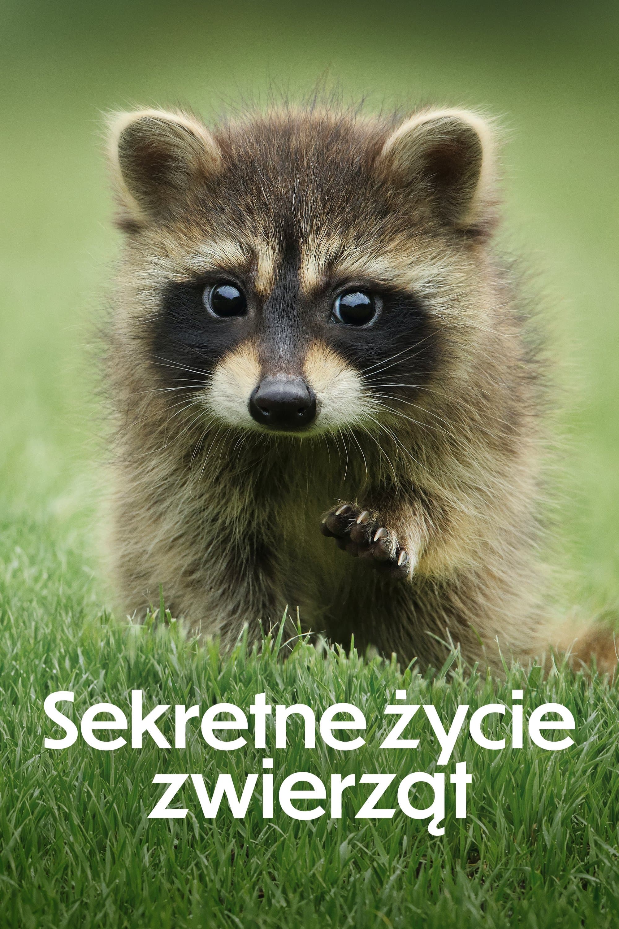 Sekretne życie zwierząt