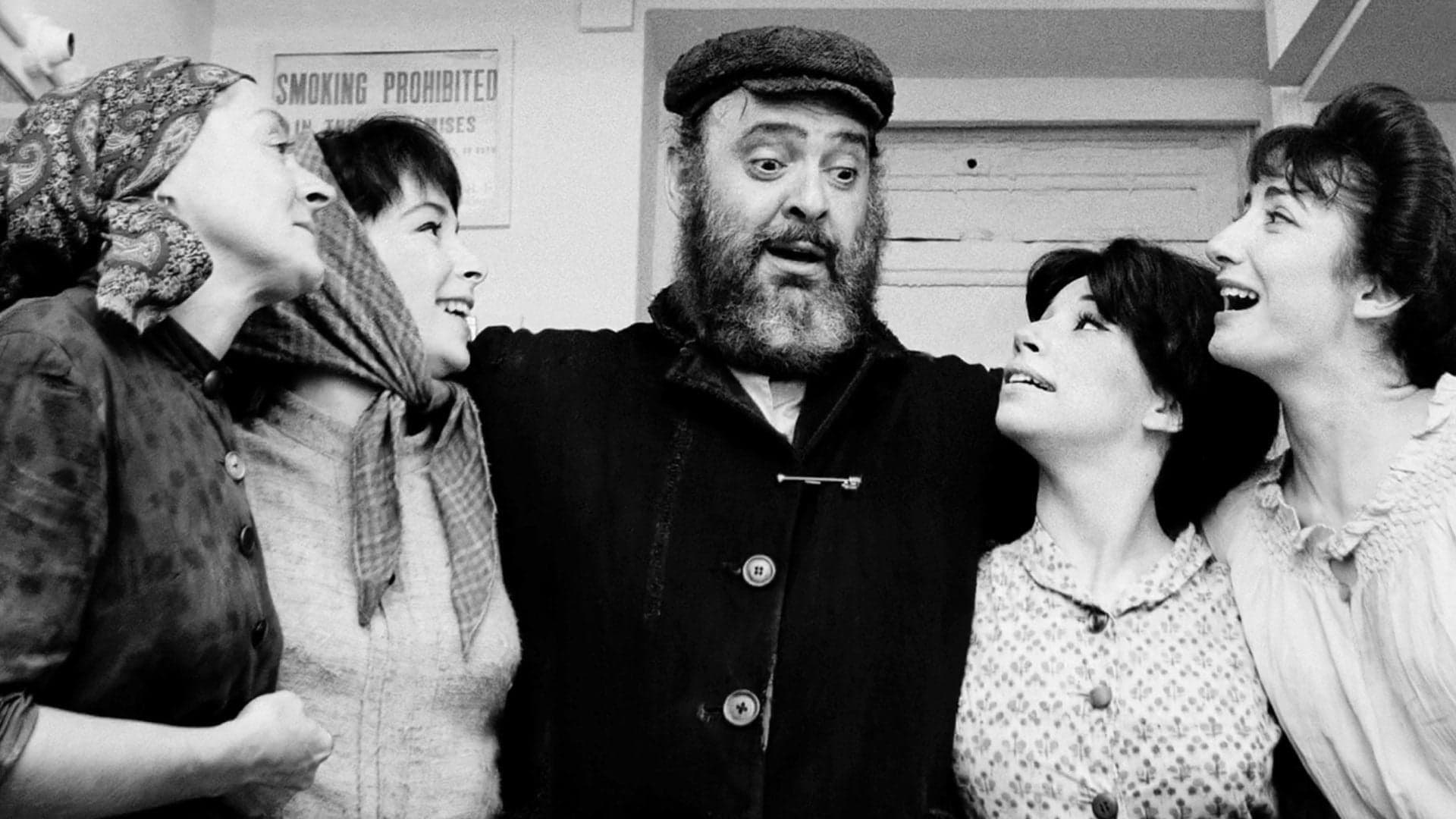 Josh Mostel