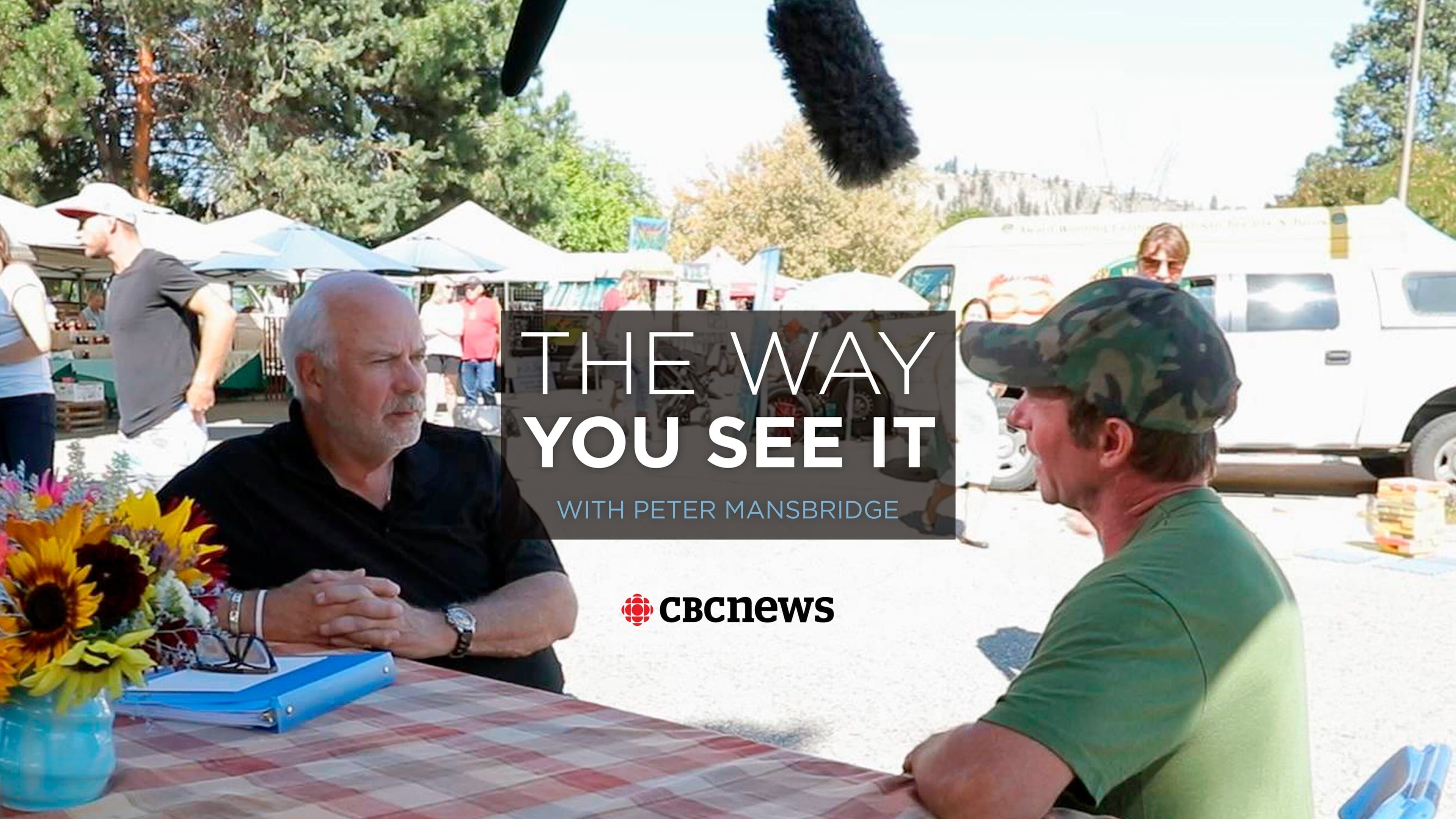 Peter Mansbridge