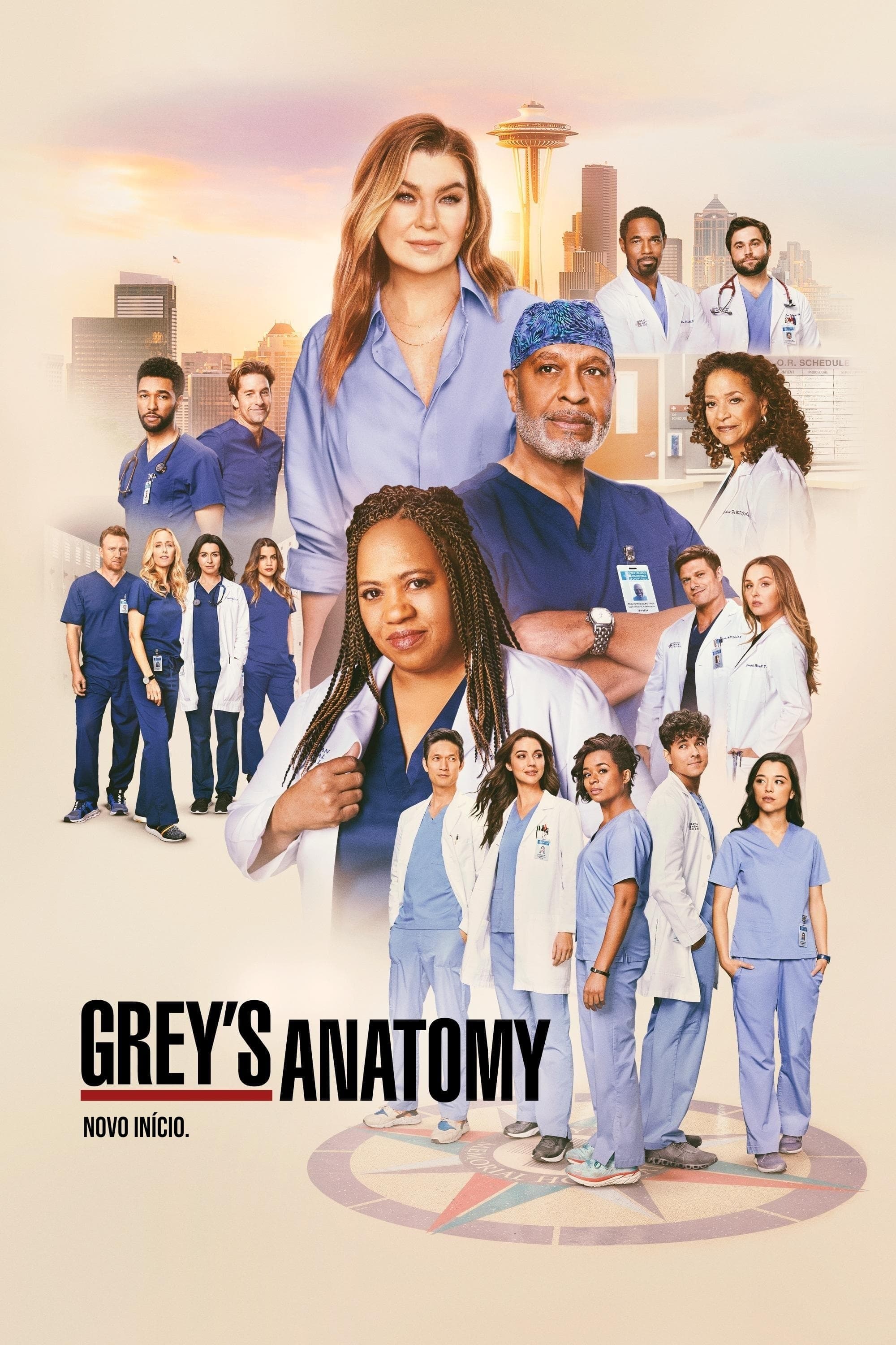 Anatomia de Grey