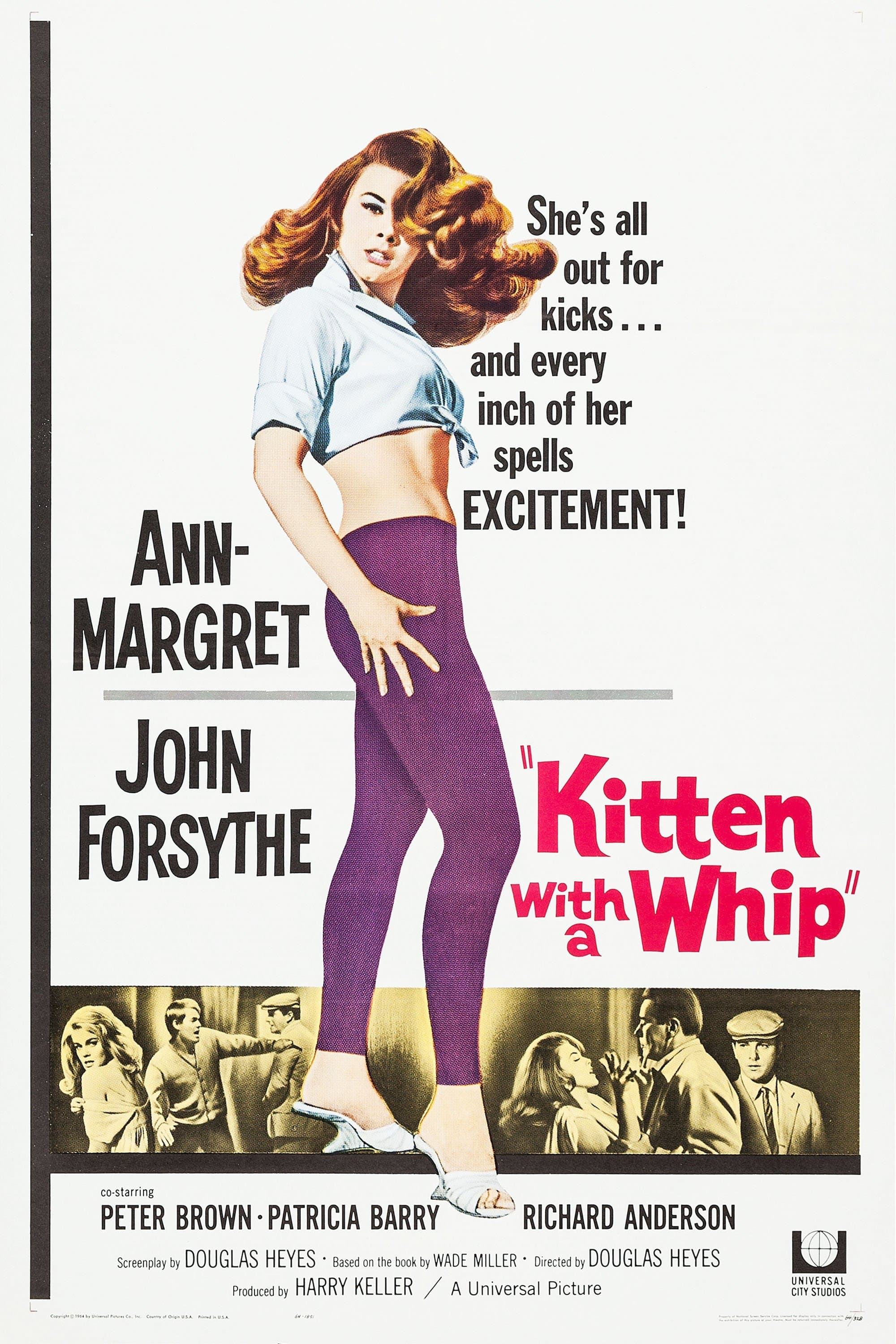 Kitten with a Whip
