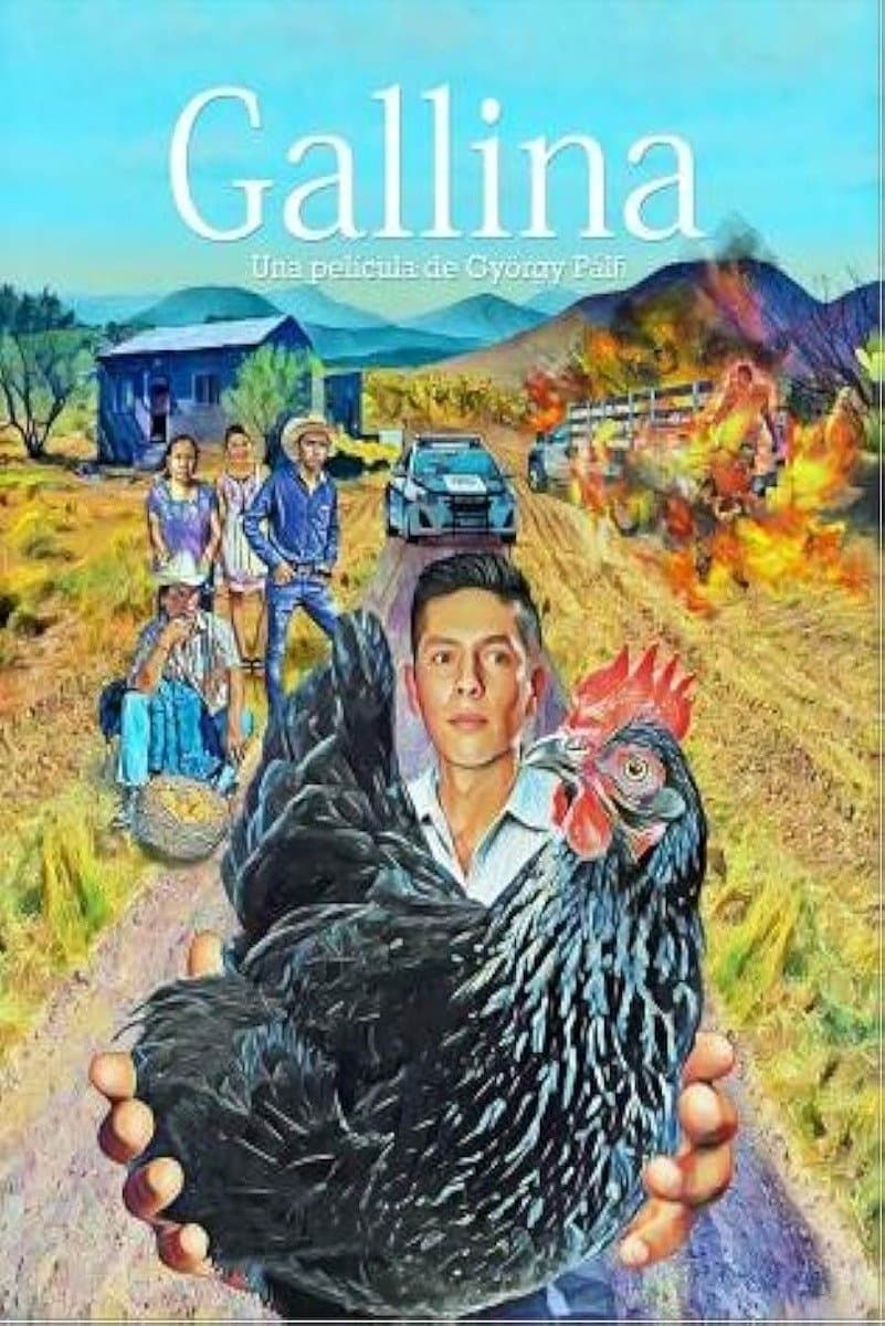The Hen: A Feather’s Tale