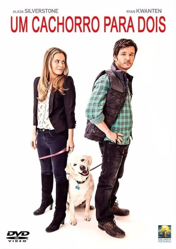 Who Gets the Dog?