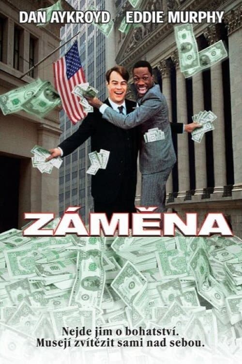 Záměna