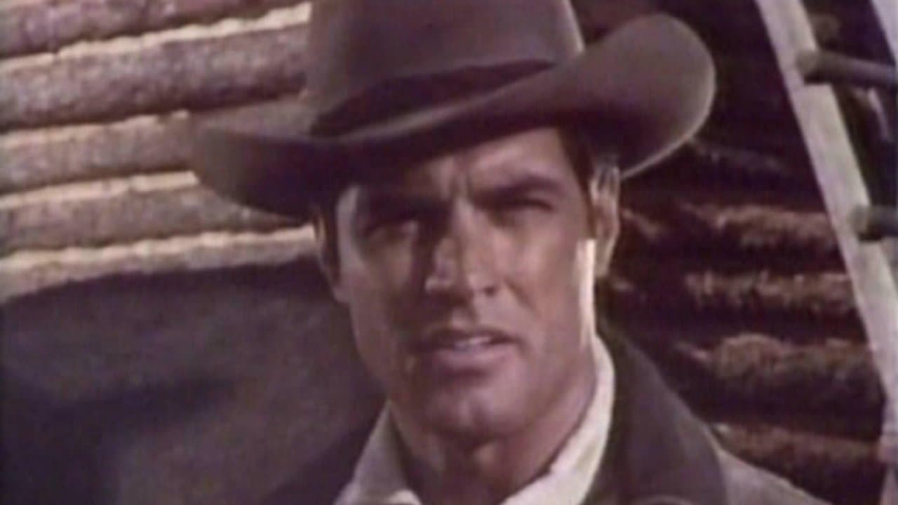 Robert Random