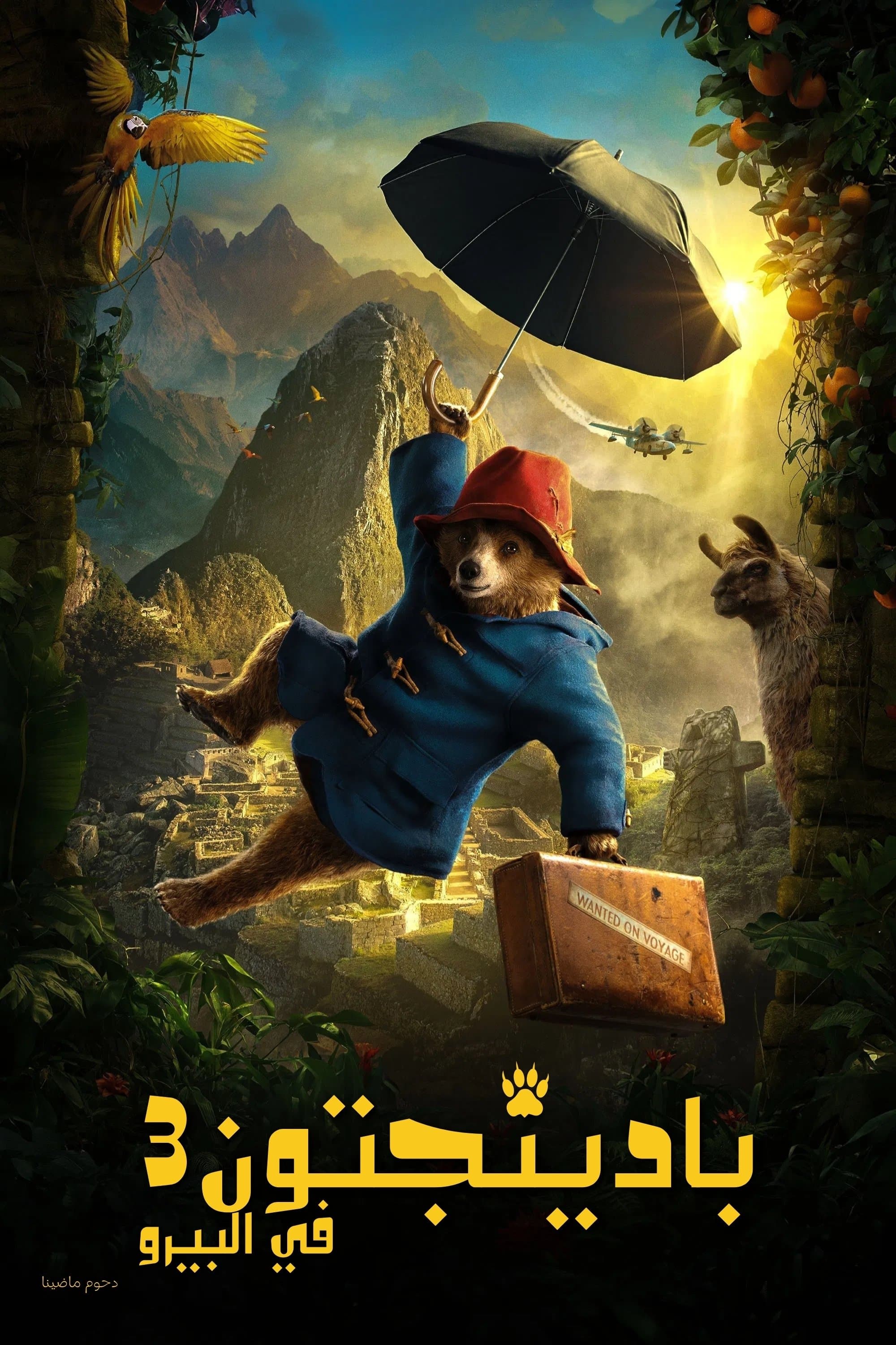 Paddington in Peru