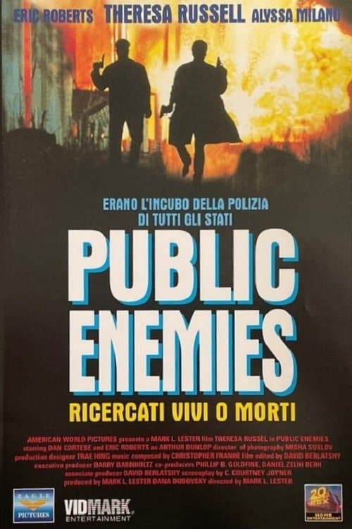 Public Enemies