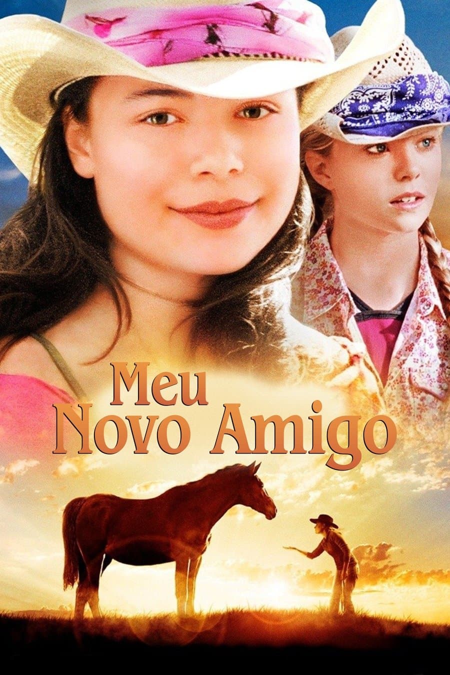 The Wild Stallion