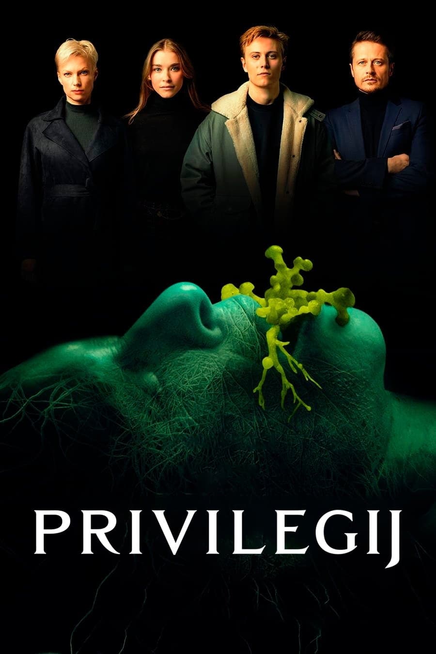 Privilegij