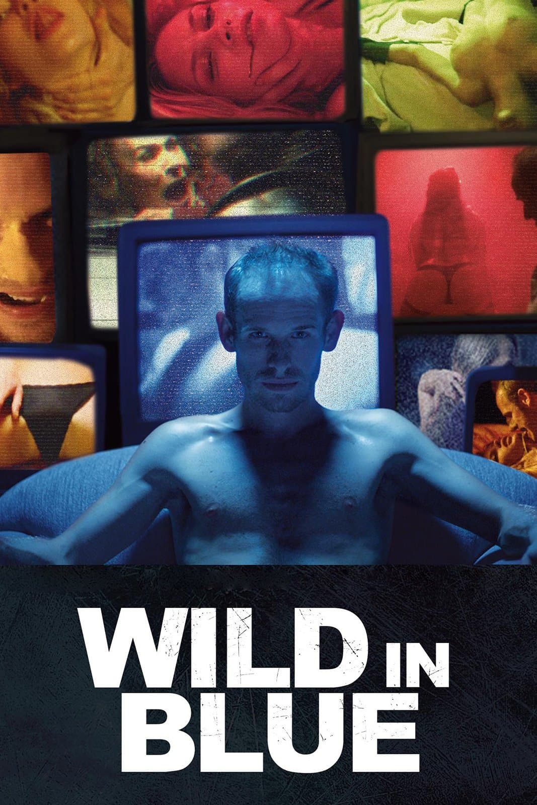 Wild in Blue