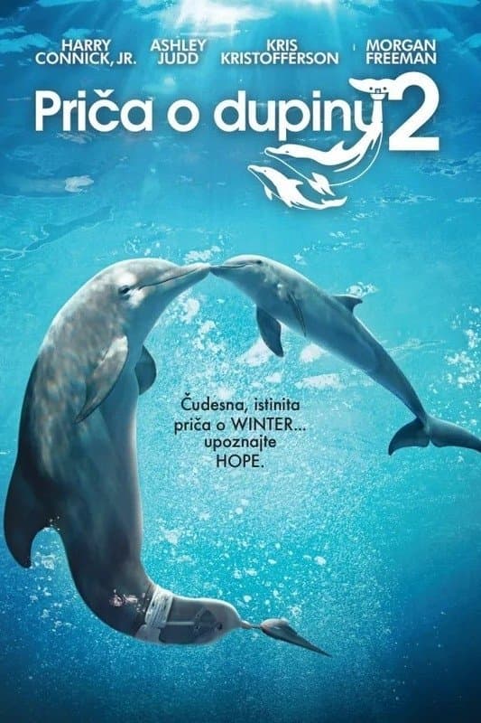 Priča o dupinu 2