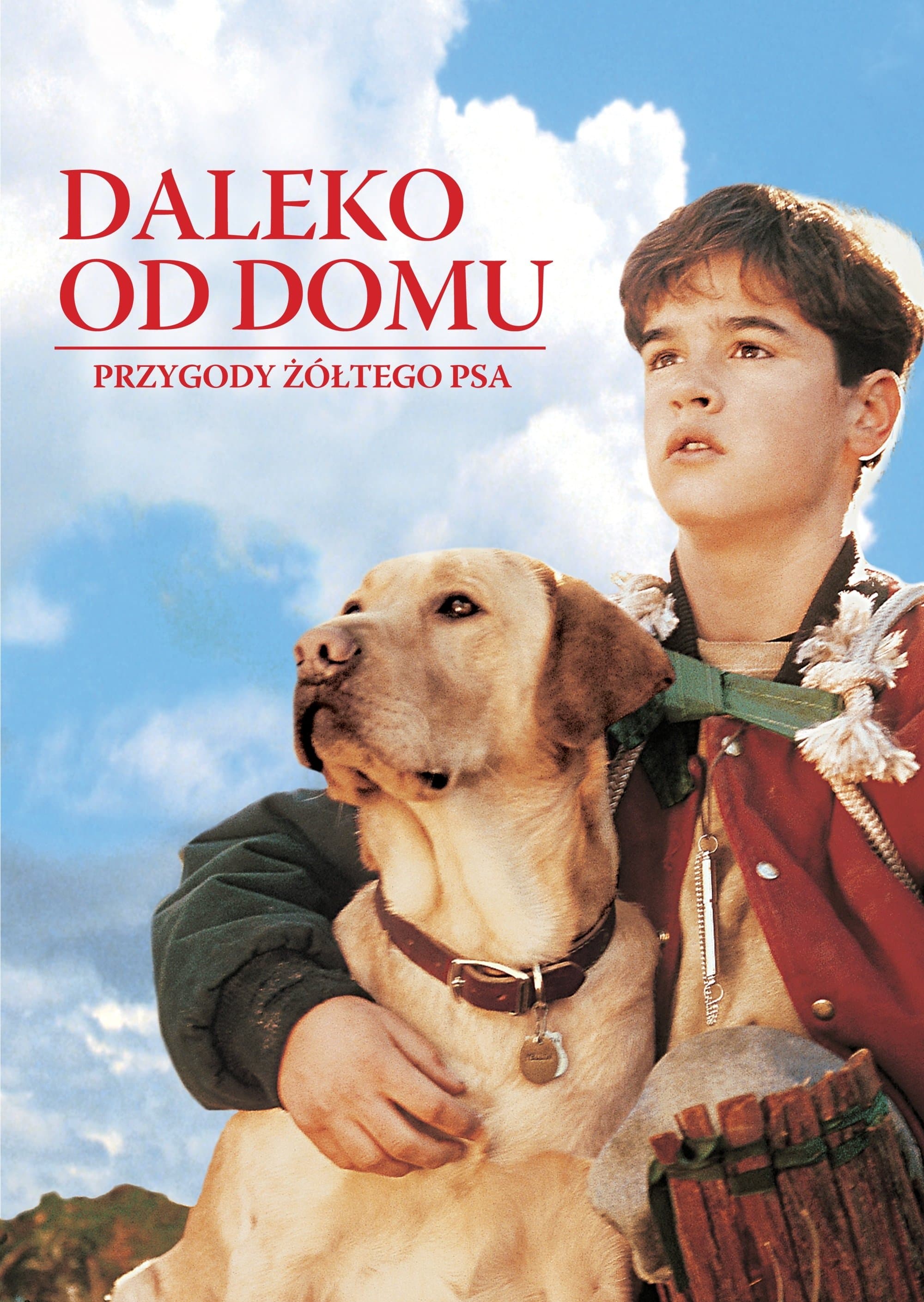 Daleko od domu: Przygody żółtego psa