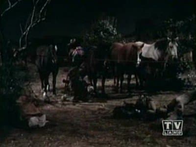 Episode 21