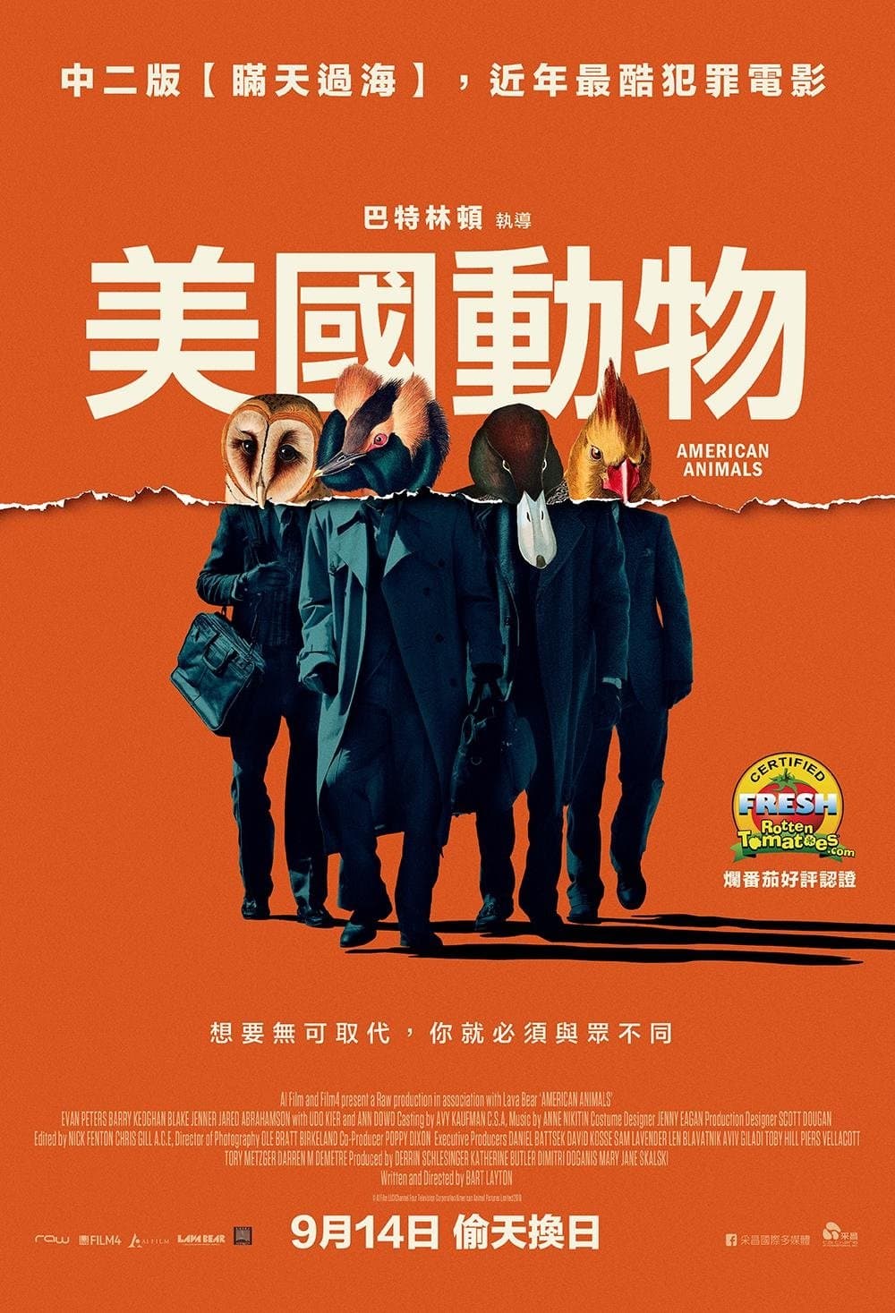 American Animals
