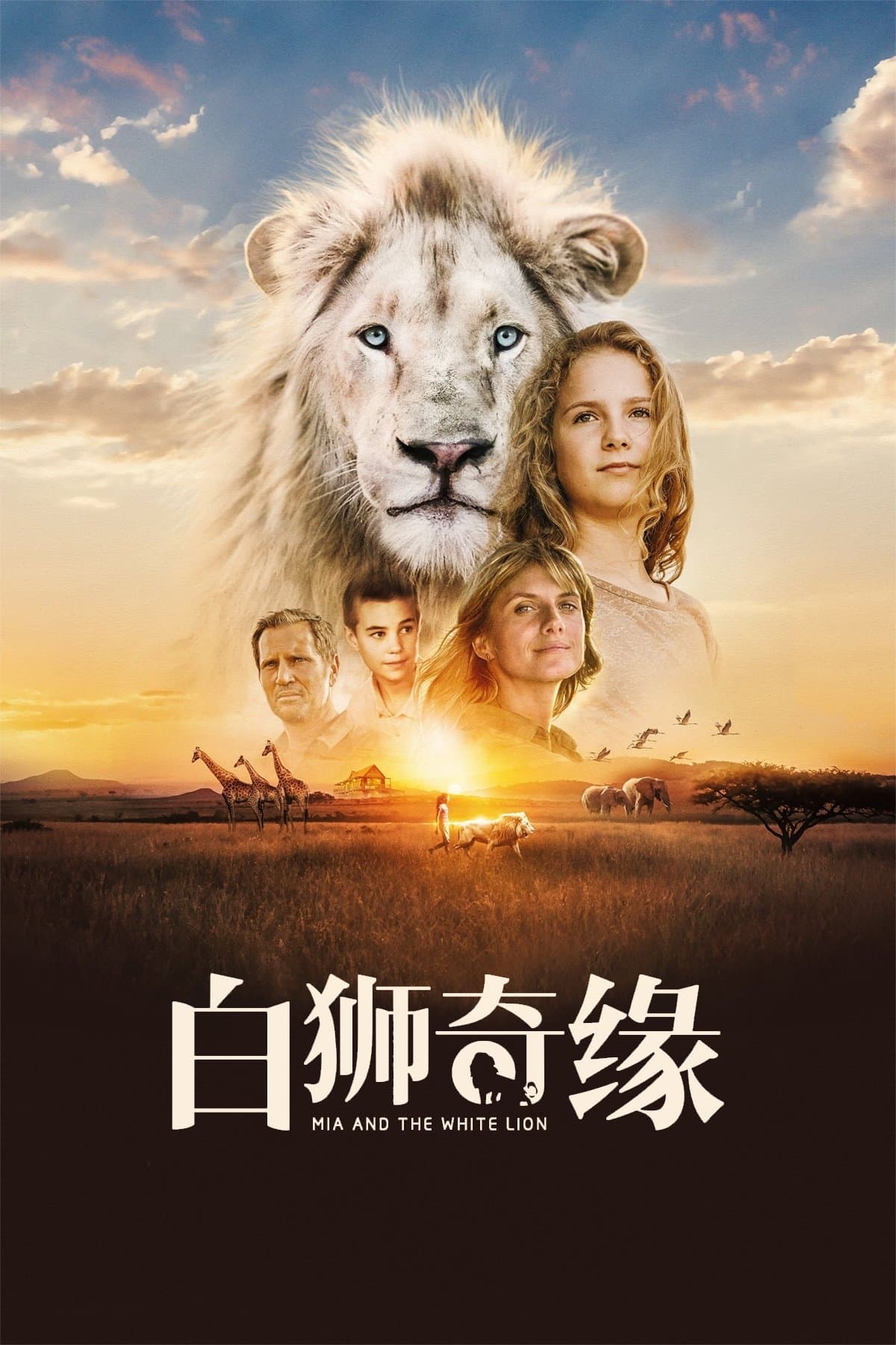 Mia and the White Lion
