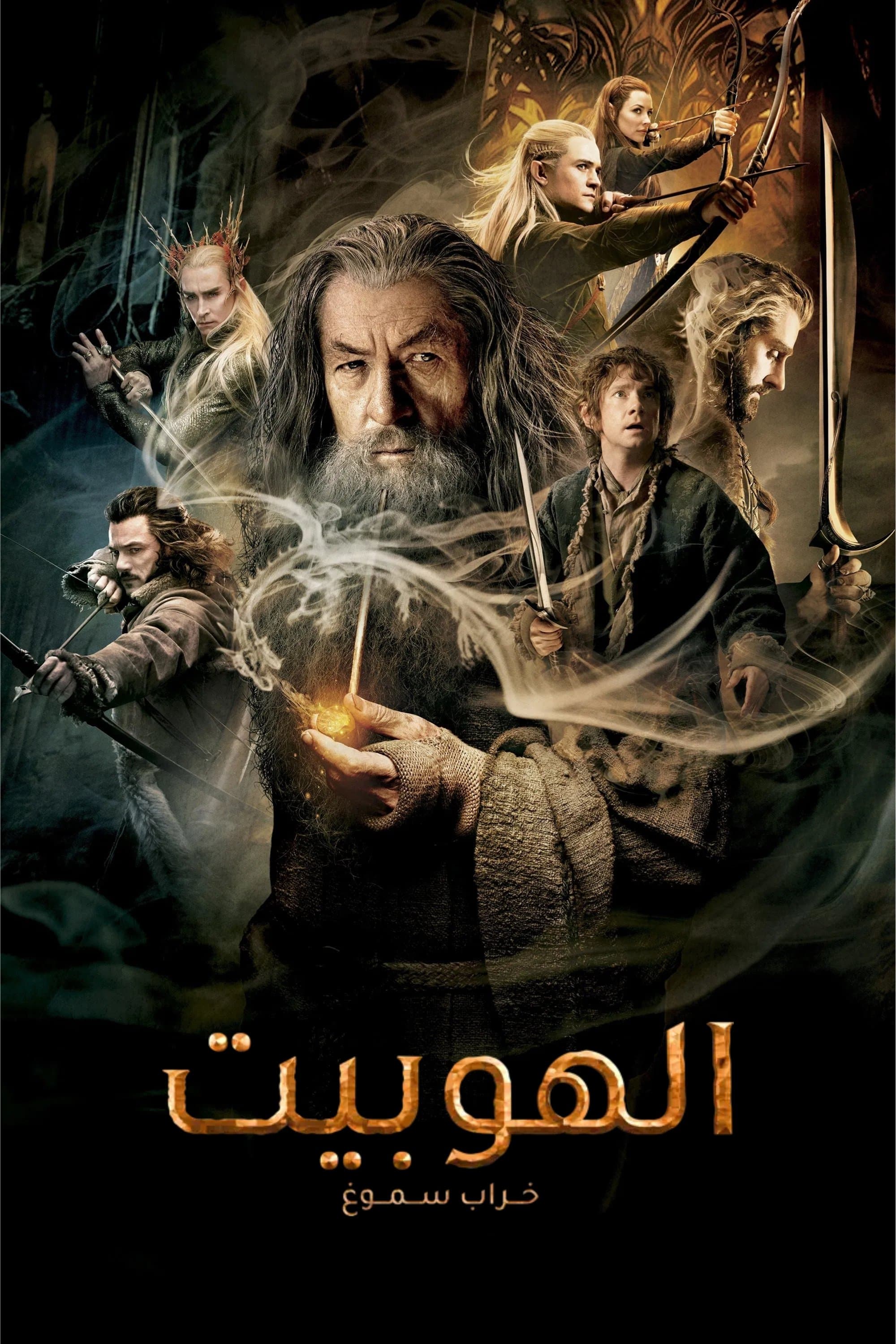 The Hobbit: The Desolation of Smaug