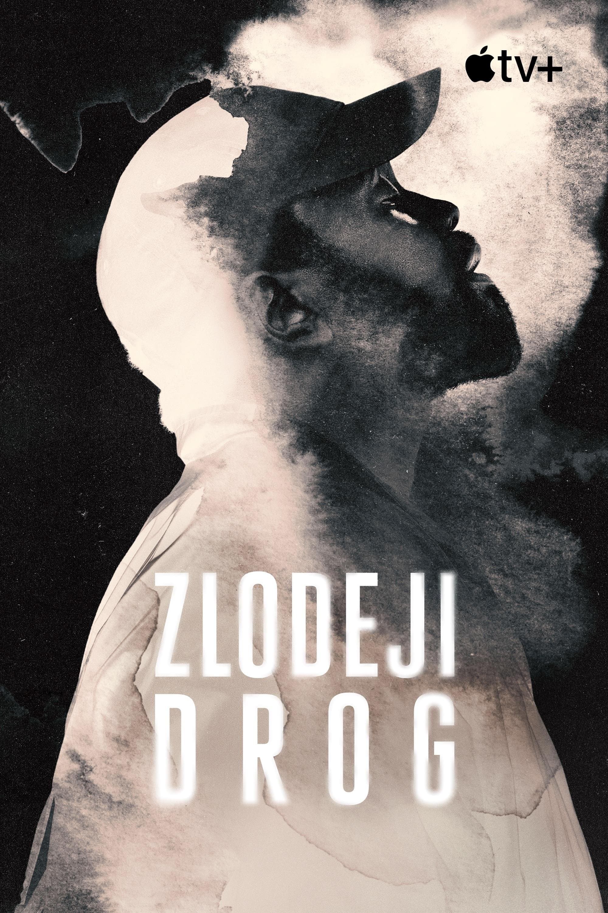 Zlodeji drog