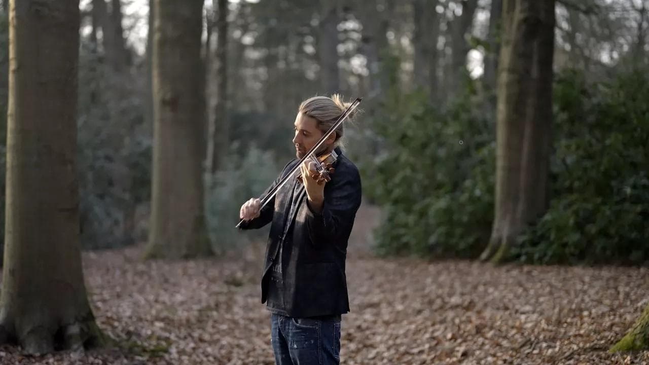 David Garrett