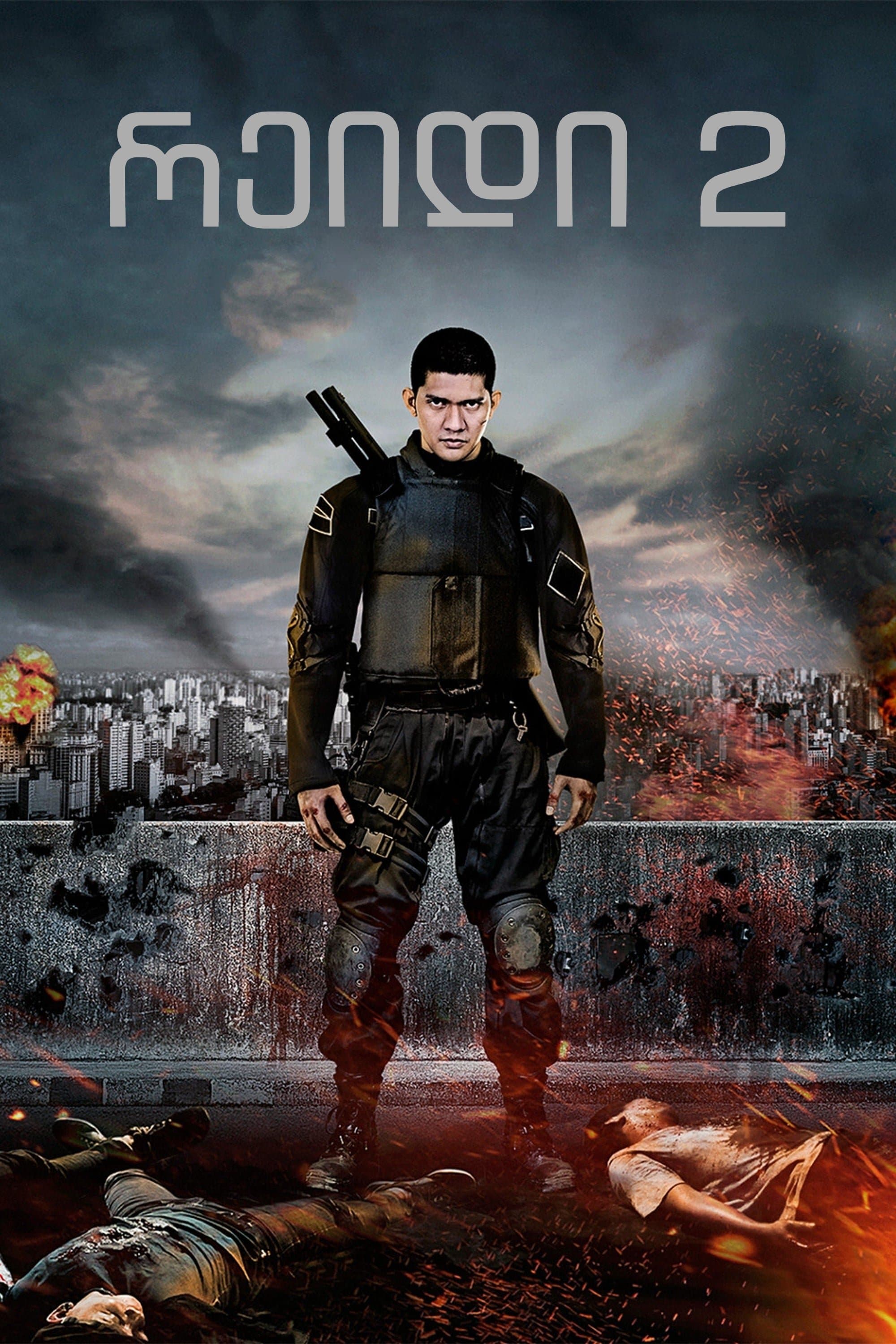 The Raid 2
