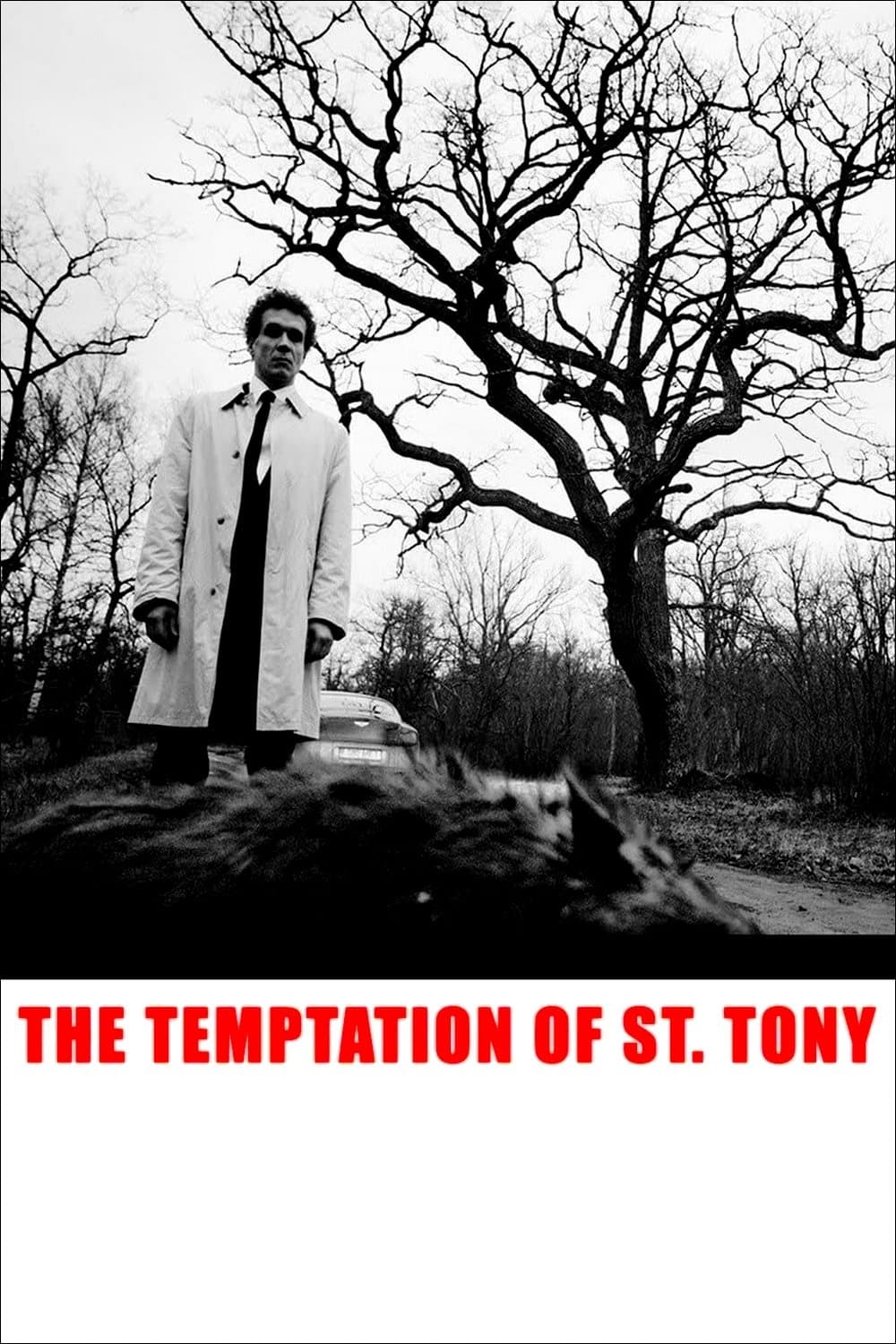 The Temptation of St. Tony